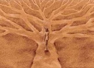 Le Créateur – Vos choix